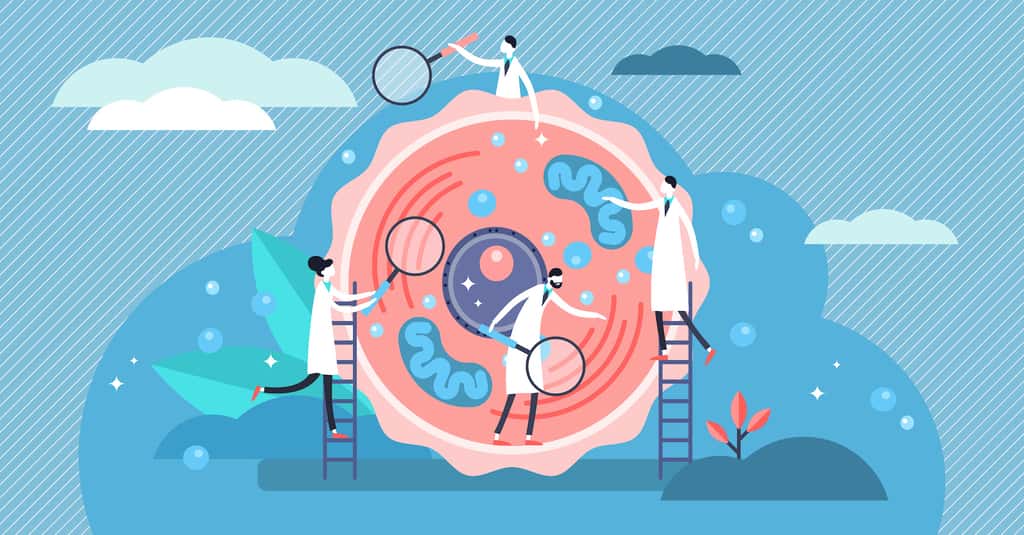 La moitié des structures cellulaires sont encore inconnues. © VectorMine, Adobe Stock
